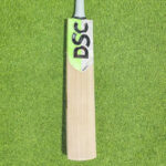 DSC SPLIT SERIES 6.0 Cricket Bat - SH