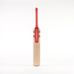 GN Astro 5 Star Junior Cricket Bat