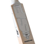 SF RANGER PLUS 3 English Willow - SH