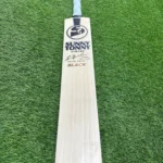 SG Sunny Tonny Xtreme Black English Willow - SH